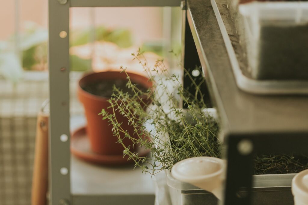 pots d'herbes aromatiques et bouquet séché sur le rebord d'une fenêtre