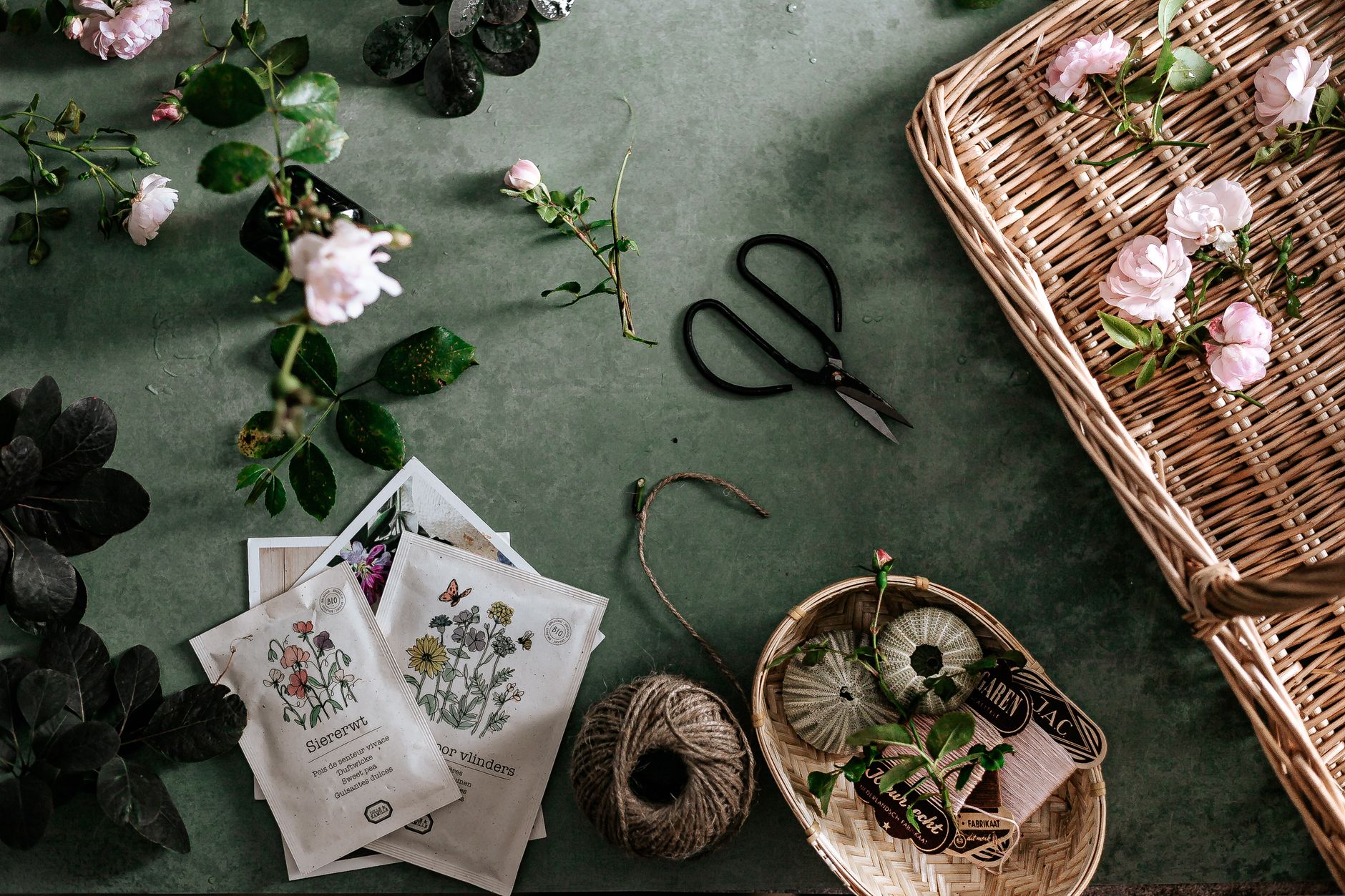 sachets de graines, ciseaux et petit panier posés sur une table sombre