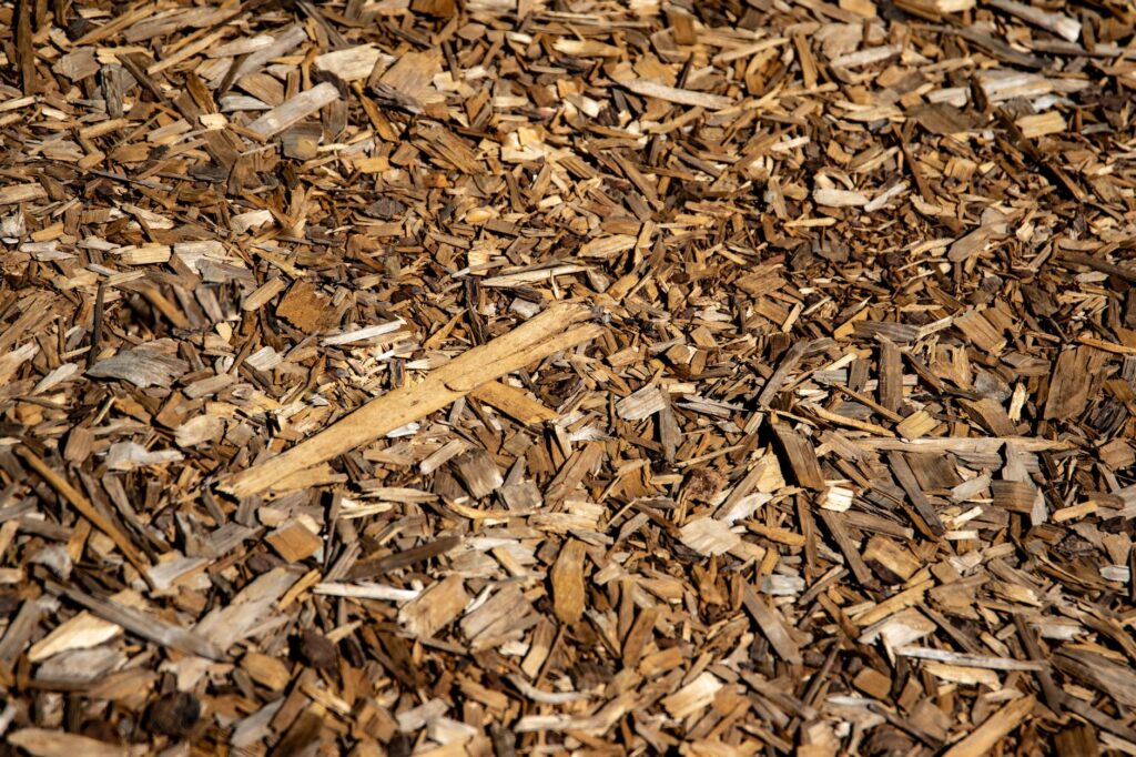 paillage de copeaux de bois étalé au sol entre les cultures